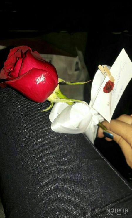 اینم گل ها که داداش گلم بهم کادو دادن به مناسبت روز دختر - عکس ویسگون