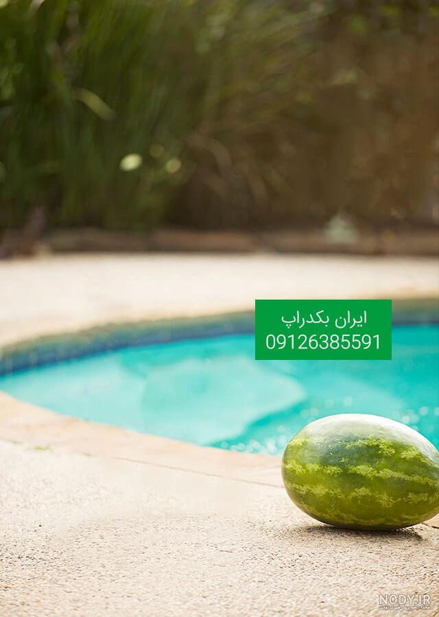 خرید و قیمت وکتور بک گراند انار و هندوانه | ترب