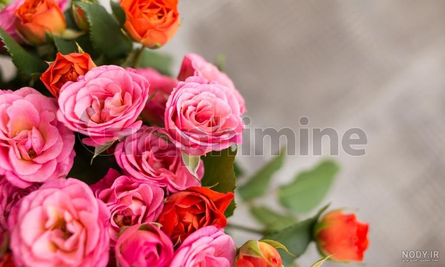 دانلود تصویر استوک طراحی اسب - گرافی ماین دانلود تصویر استوک طراحی اسب - گرافی ماین
