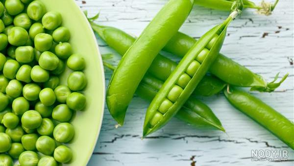 طرز تهیه سبزه با لوبیا قرمز شیک و زیبا برای هفت سین گام به گام طرز تهیه سبزه با لوبیا قرمز شیک و زیبا برای هفت سین گام به گام