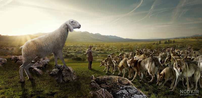 عکس های فانتزی گرگ عکس های فانتزی گرگ