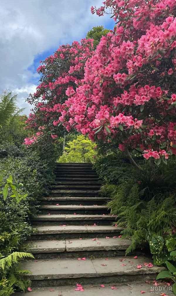 عکس منظره زیبا و طبیعی عکس منظره زیبا و طبیعی