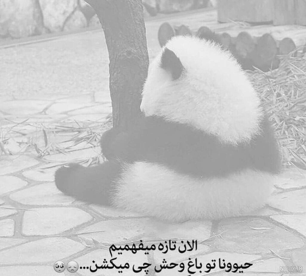 عکس نوشته های پروفایلی جدید (دیالوگ های پسرونه و دخترونه) 1399 عکس نوشته های پروفایلی جدید (دیالوگ های پسرونه و دخترونه) 1399
