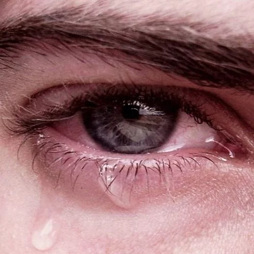 عکس چشم گریه واقعی عکس چشم گریه واقعی
