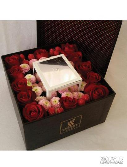 عکس گل رز طبیعی هدیه