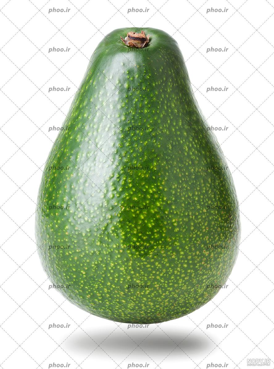 مشخصات ، قیمت ، خرید ، فروش آووکادو ترک و کنیا Avocado - فروشگاه ...