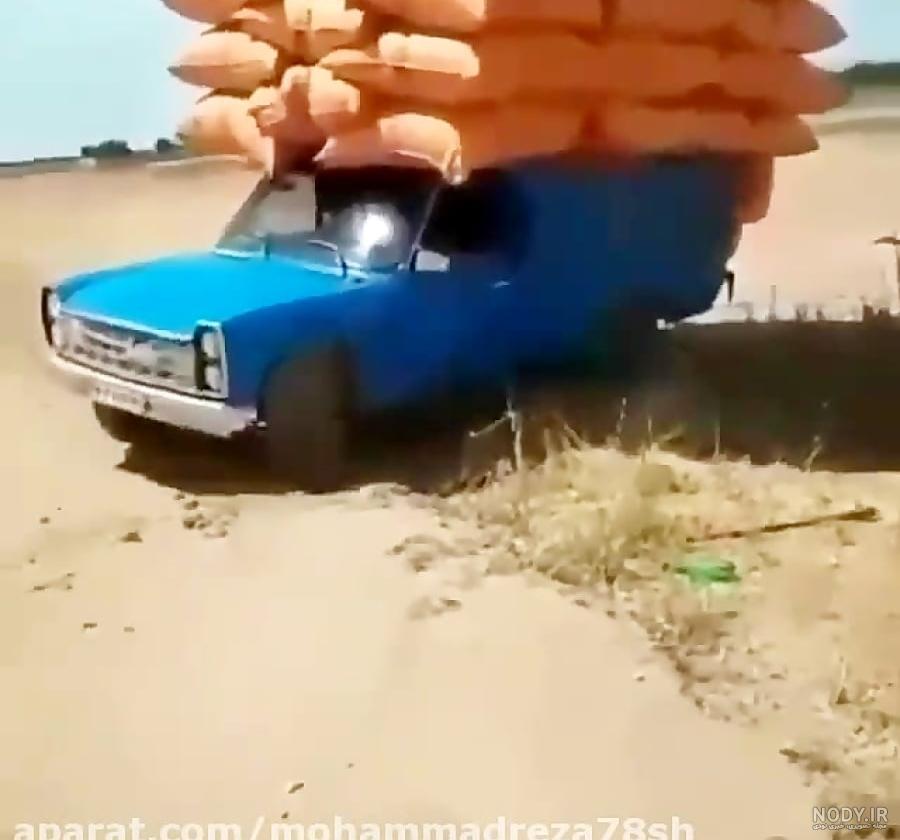 نیسان آبی وحشی