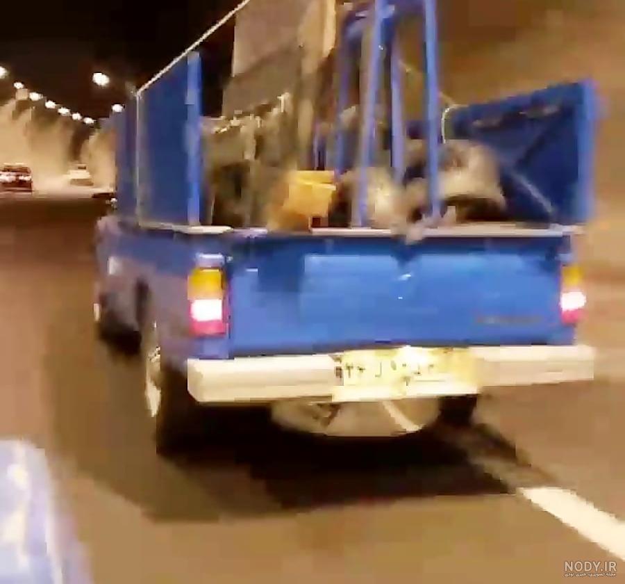 نیسان بازیگوش _ نیسان سالار