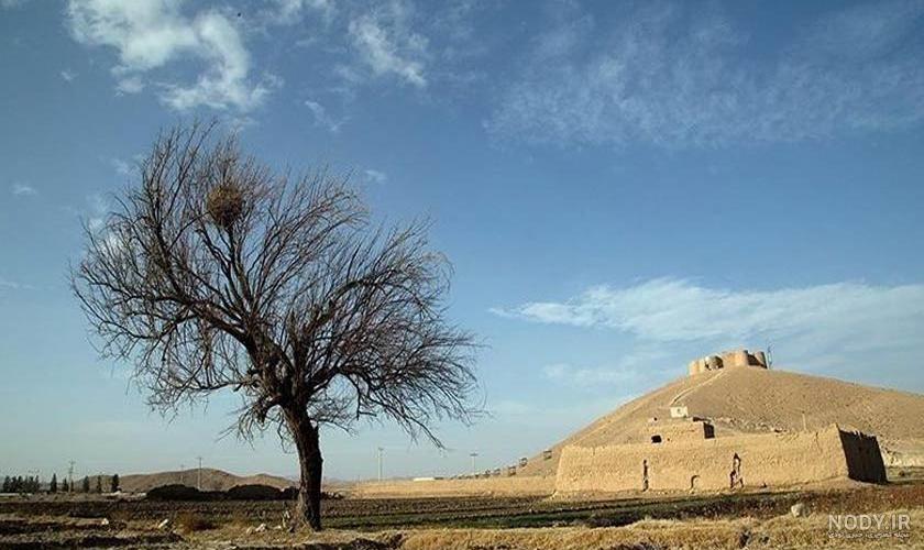 پشمی چهارخونه1 - فروشگاه اینترنتی لنالی