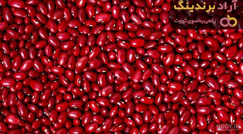 کاشت سبزه لوبیا پیشنهادی ویژه برای سبزه عید نوروز! | خرید اینترنتی ... کاشت سبزه لوبیا پیشنهادی ویژه برای سبزه عید نوروز! | خرید اینترنتی ...