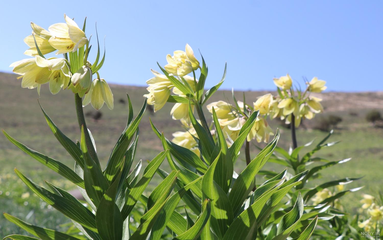گردشگری روستای گرمه اصفهان - مجله گردشگری دوباره سفر