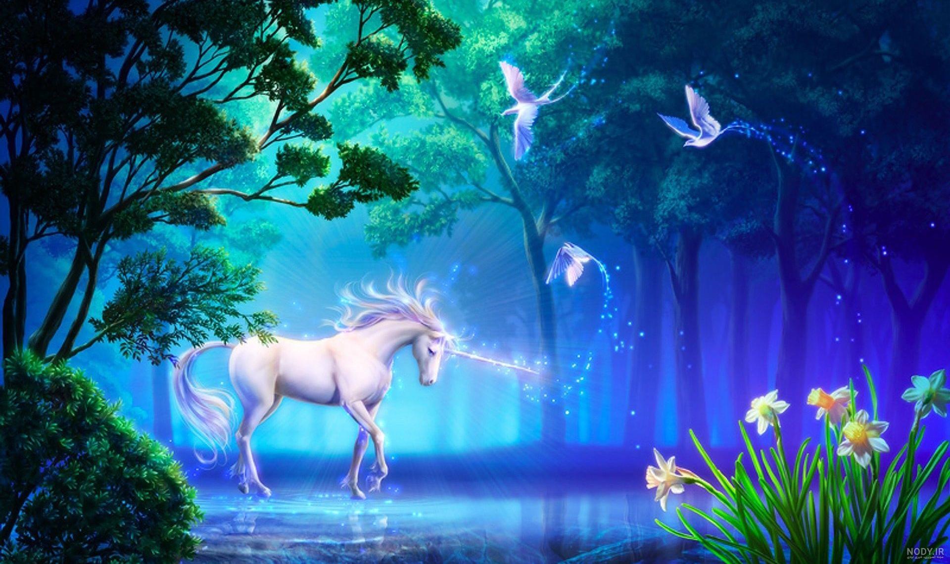 unicorn عکس با کیفیت unicorn و وکتور لایه باز unicorn پارس استاک ...