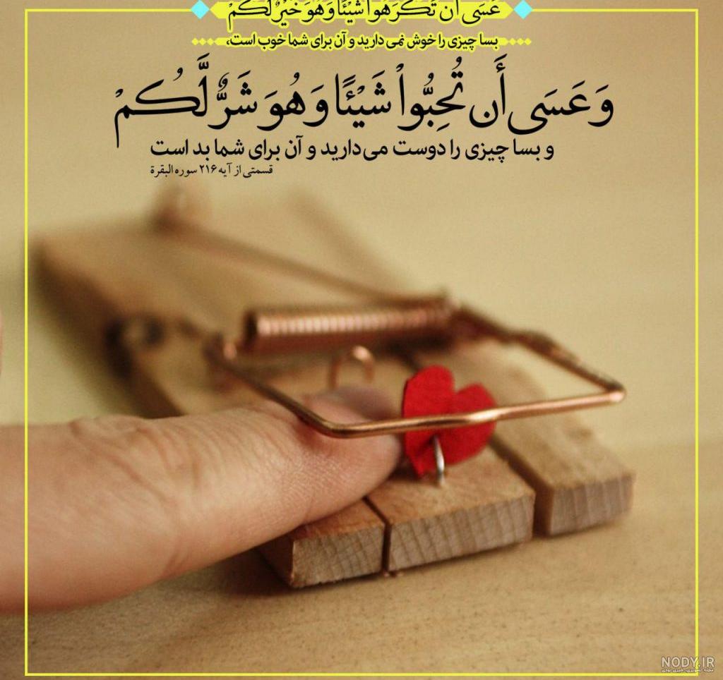 آلبوم عکس قرآن برای پروفایل (3) - تــــــــوپ تـــــــــاپ