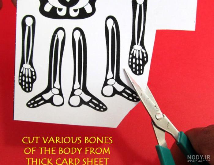 اسکلت کاغذی)Paper Skeleton