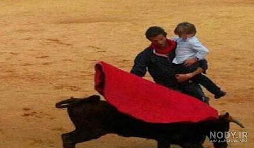 تک عکس : گاو بازی در اسپانیا