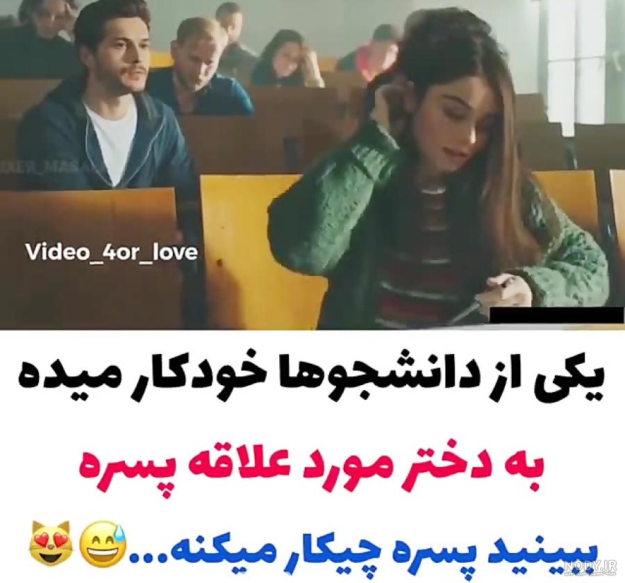 جالب ترین عکس های شتر برای پروفایل - پروفایل ناب | مجله تفریحی و آموزشی