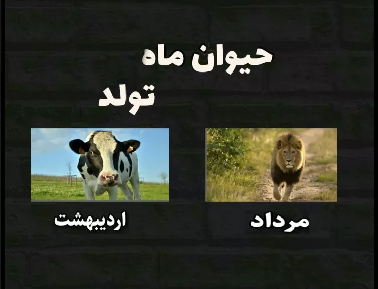 حیوان ماه تولد شما چیه ... ؟!