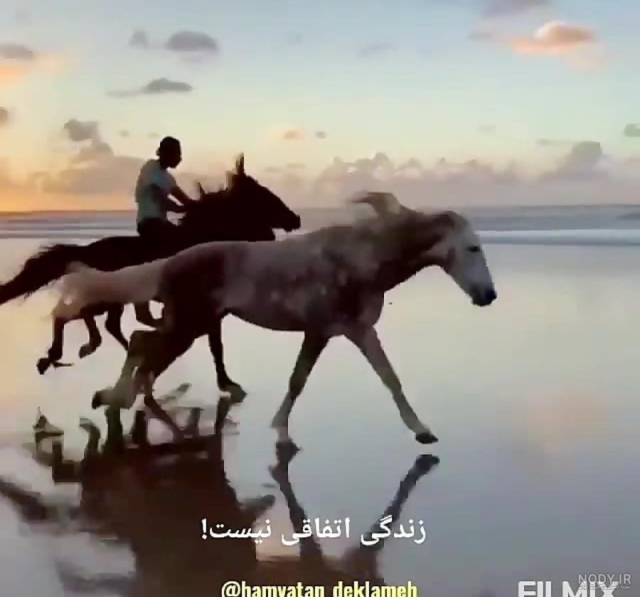 دل نوشته - عکس ویسگون