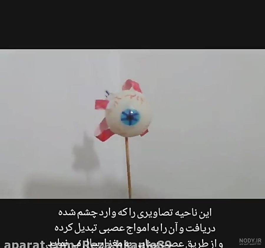 ساخت دست مصنوعی (حل فعالیت صفحه 41 علوم پنجم)