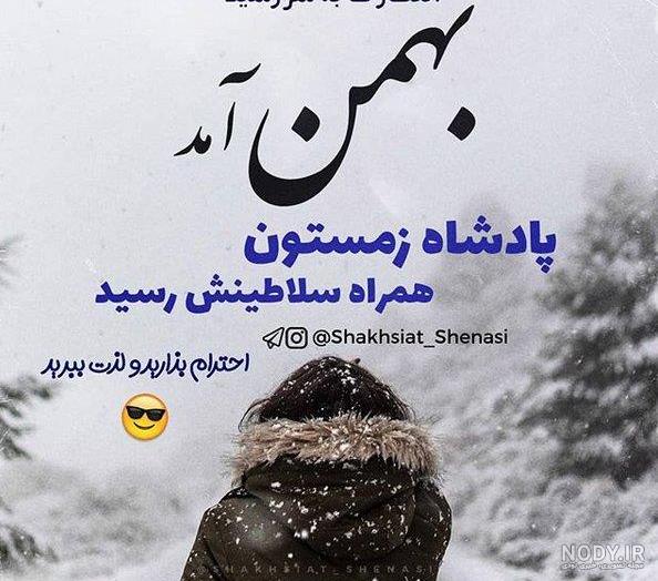 عکس بهمن ماهی ها
