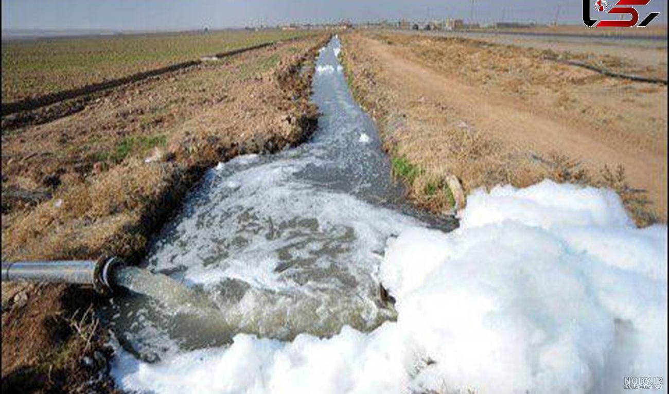 عکس حشره خرخاکی عکس حشره خرخاکی