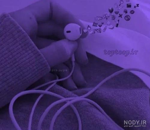 عکس شاخ دخترونه بنفش بدون متن