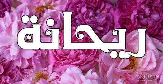 عکس/ شب اول محرم؛ هیئت ریحانه الحسین(ع)