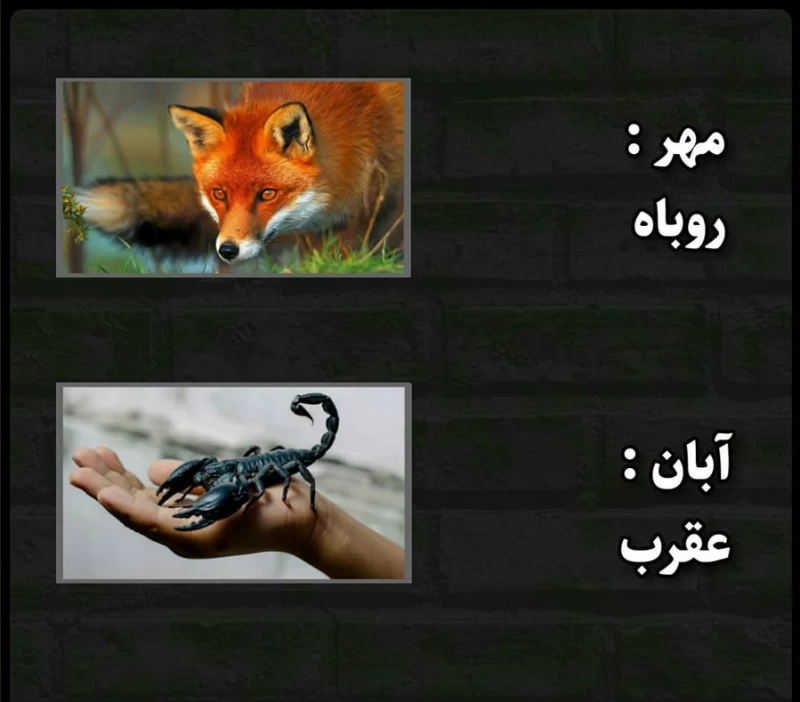عکس ماه سال ها