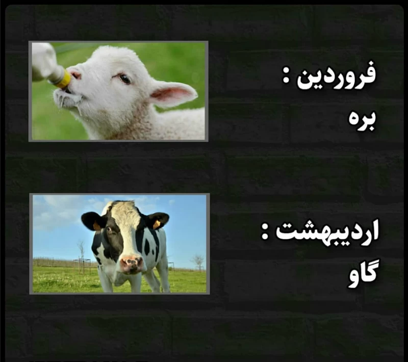 عکس ماه های میلادی به ترتیب