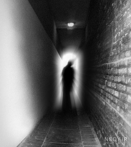 عکس ماهی روح سیاه عکس ماهی روح سیاه