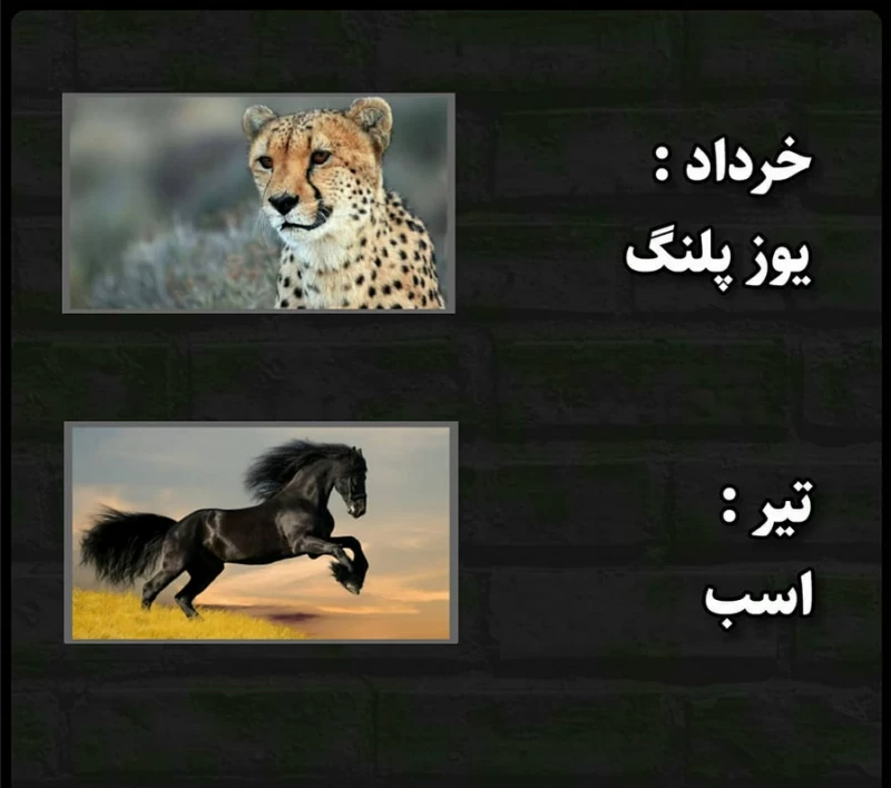 عکس نماد ماه های سال + نکات جالب در مورد متولدین هر ماه