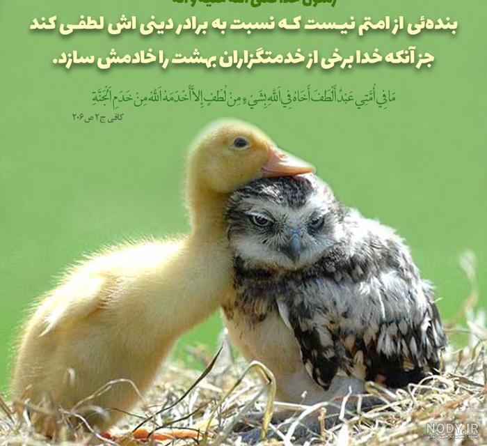 عکس نوشته دینی مذهبی - تــــــــوپ تـــــــــاپ