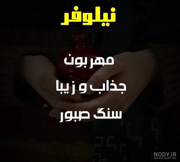 عکس نوشته نیلوفر تولدت مبارک - عکس نودی