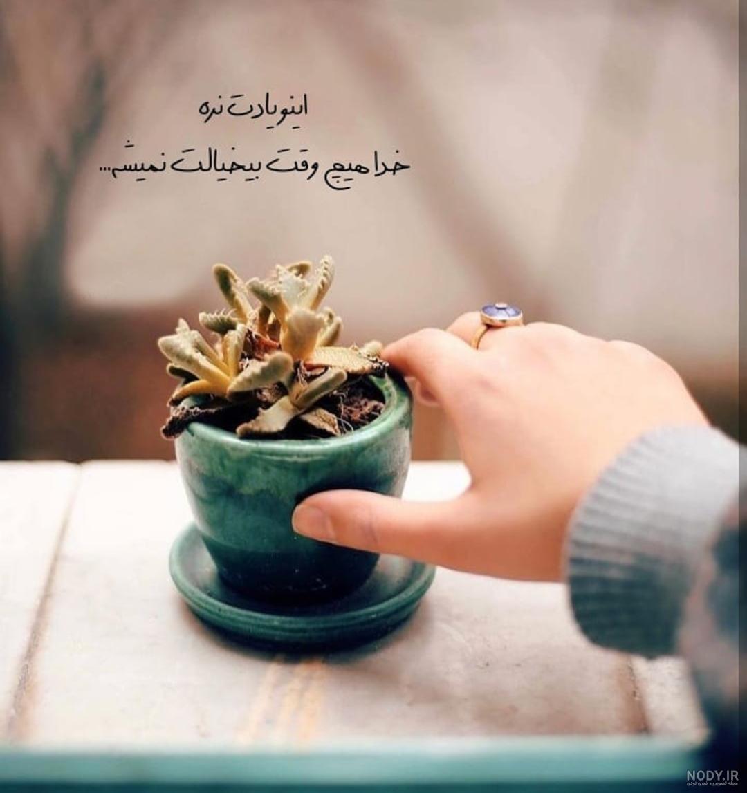 عکس پروفایل زمستانی خاص 2024؛ بدون متن برای تمام سنین که دنبالش ...