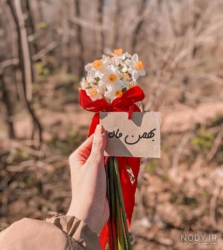 عکس پروفایل متولدین بهمن ماه | عکس نوشته متولد دی ماه