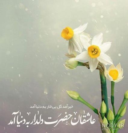 عکس گل امام زمان - عکس نودی