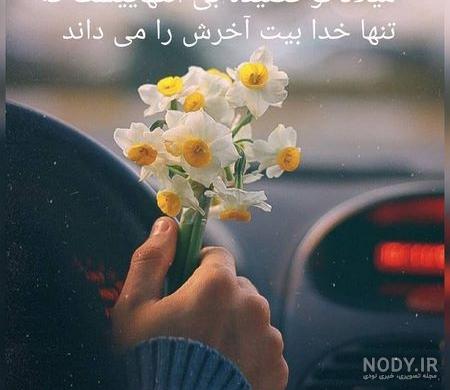 عکس گل نرگس امام زمان - عکس نودی