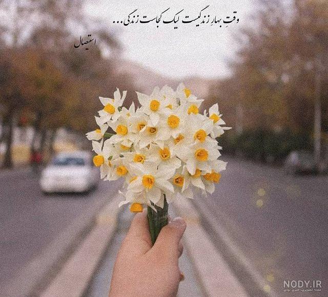 عکس گل نرگس زیبا برای پروفایل :: اسم نوشته مجله سرگرمی و تفریحی