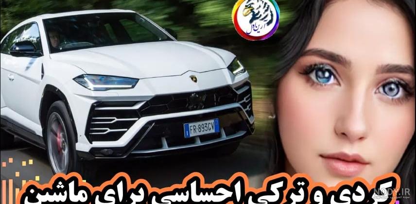 نبردعنکبوت شتری با سه عقرب!