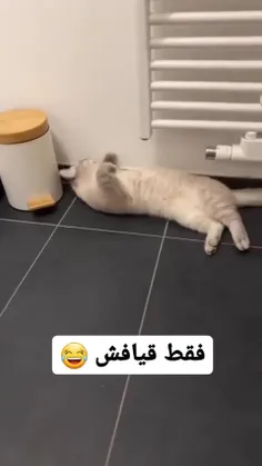 پروفایل Baran ❥︎ - تستچی