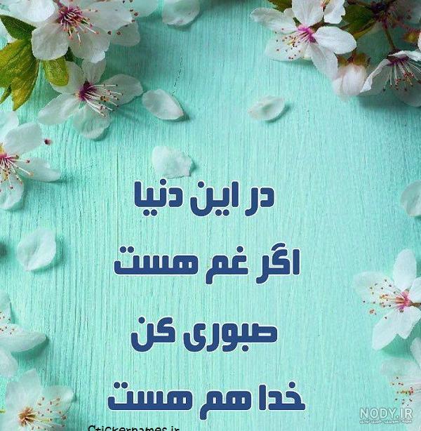 کمیته پدافند غیر عامل | سقوط هواپیما اوکراین