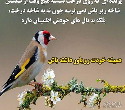 بیوگرافی در مورد اعتماد نکردن