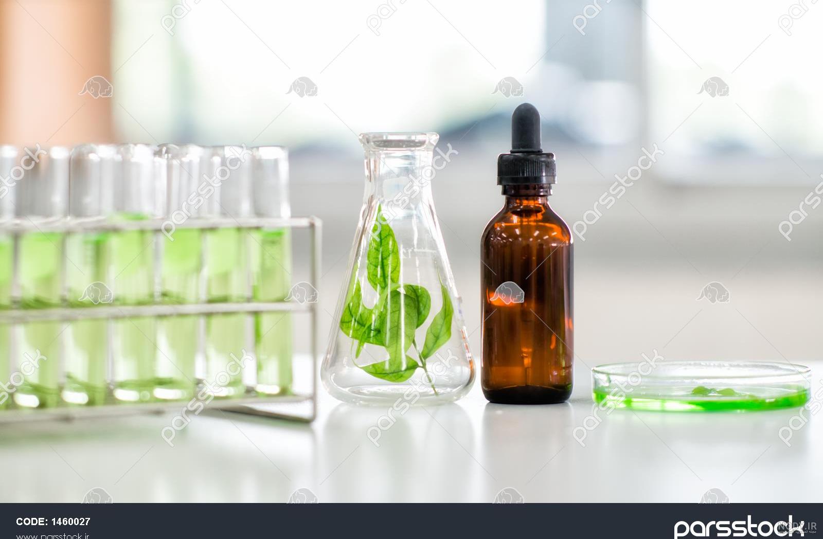 Portative Background Utensil - دانلود عکس - پارس ایمیجز - download ... Portative Background Utensil - دانلود عکس - پارس ایمیجز - download ...