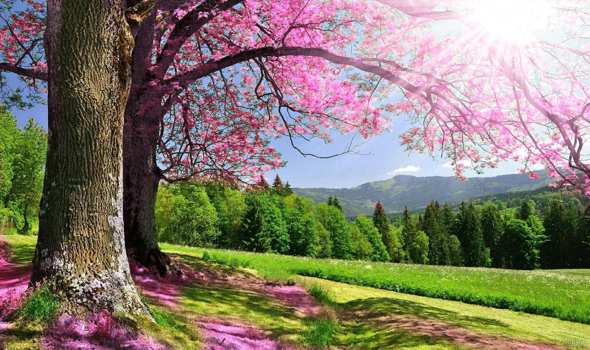 Trânsitos de Vênus em 2020: agenda astrológica para o amor | Personare Trânsitos de Vênus em 2020: agenda astrológica para o amor | Personare