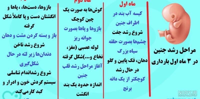 عکس جنین در هفت ماهگی در شکم مادر