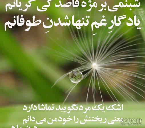 عکس های زیبای پروفایل واتساپ عکس های زیبای پروفایل واتساپ