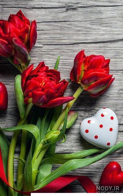 عکس صفحه گوشی طبیعت زیبا عکس صفحه گوشی طبیعت زیبا