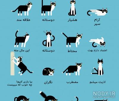 عکس لوکا و مرینت