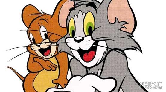 عکس موش گربه
