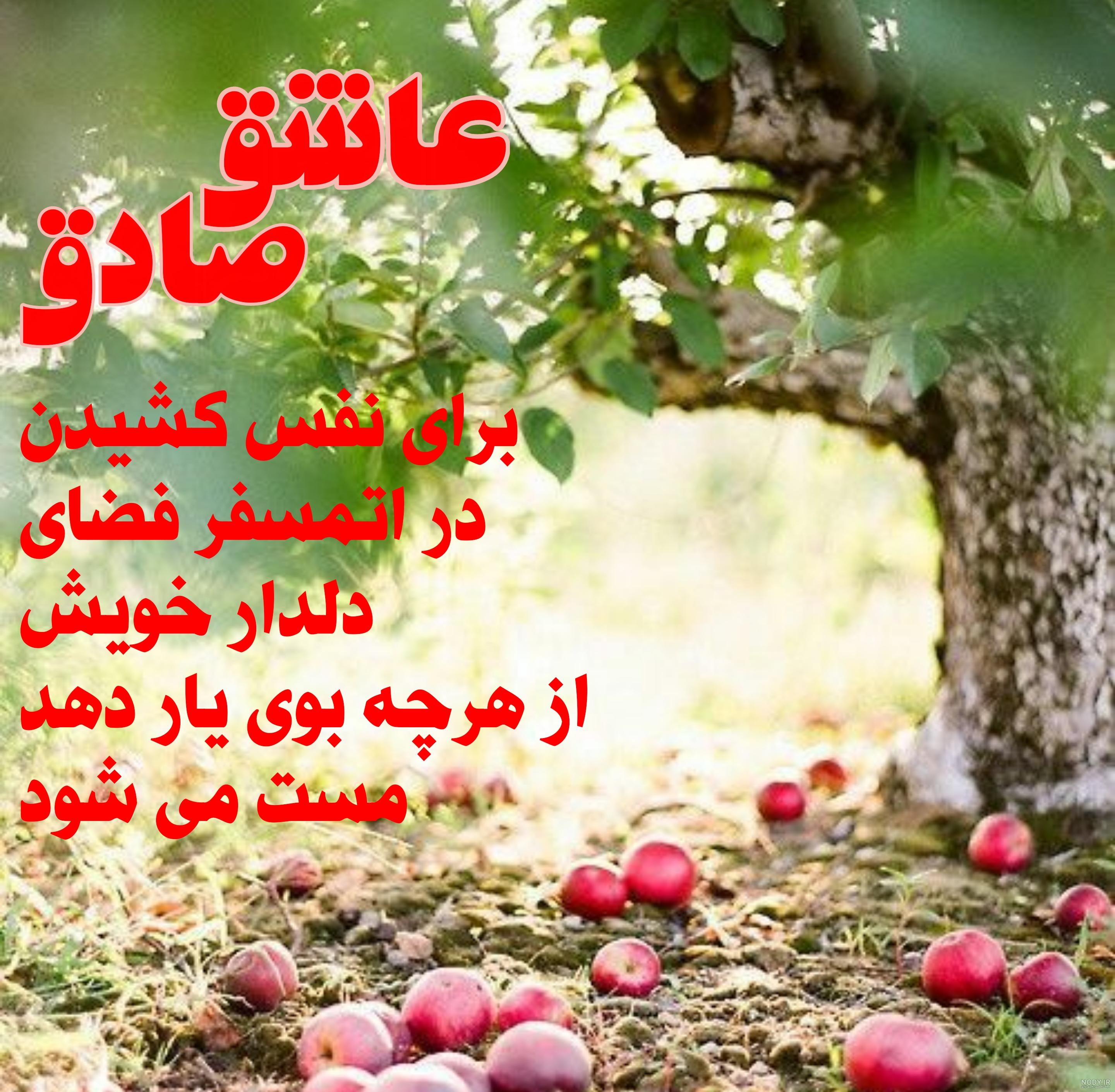 عکس پروفایل :: شابلون عکس پروفایل :: شابلون